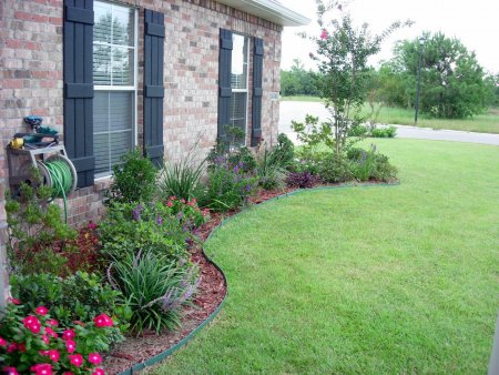 Ticks like shade and moisture and they will gather around the perimeter of flower beds, ornamental plantings and stone walls. (Photo courtesy of American Pest)